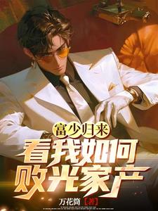 富少归来叶修小说